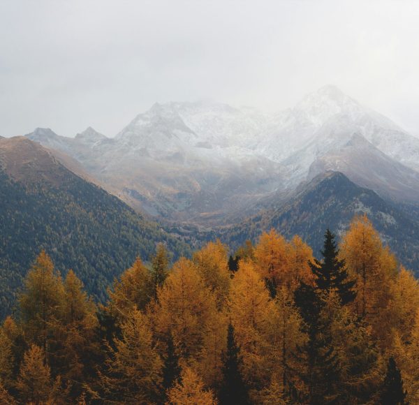 Alps in Fall